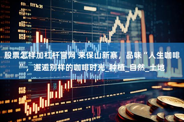 股票怎样加杠杆官网 来保山新寨，品味“人生咖啡”，邂逅别样的咖啡时光_种植_自然_土地