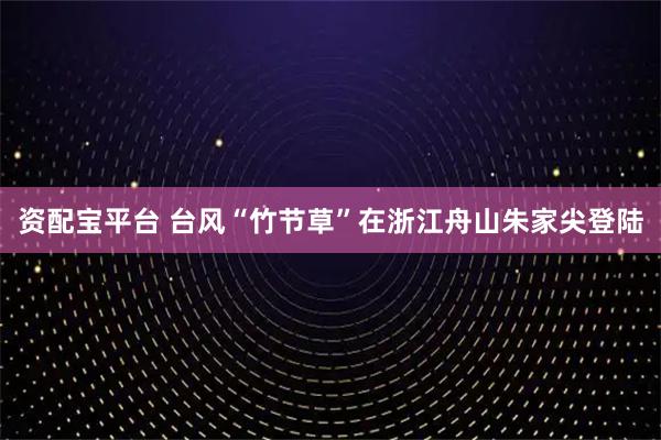 资配宝平台 台风“竹节草”在浙江舟山朱家尖登陆