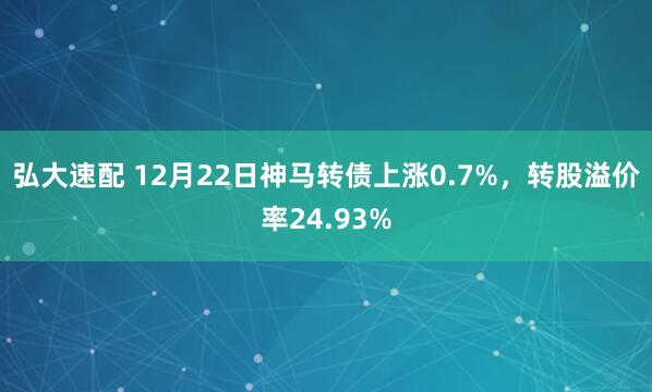 弘大速配 12月22日神马转债上涨0.7%，转股溢价率24.93%